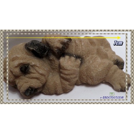 Chien Shar Pei