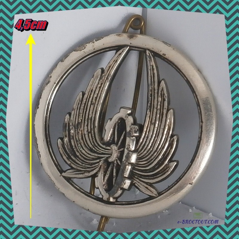 Insigne de béret - Arme du Train