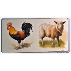 Pièce De Rechange - Dominos Les Animaux De La Ferme - Domino Coq & Mouton - Ravensburger