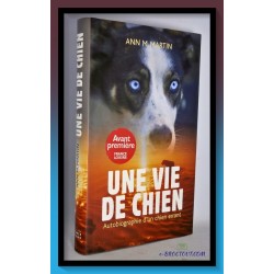 Ann M. MARTIN : Une vie de...