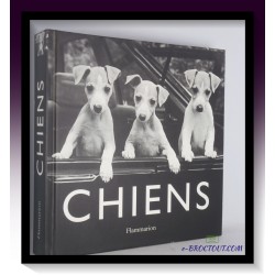 SUARES : Chiens