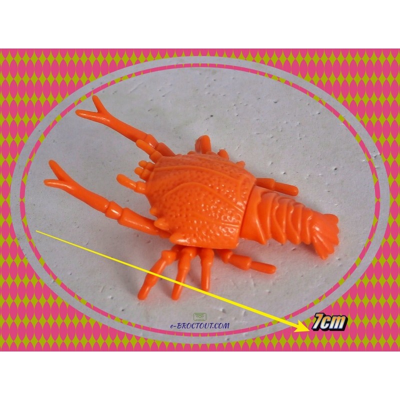 Crabe Eryon -