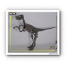 Figurine les animaux préhistoriques - Squelette Dinosaure Vélociraptor