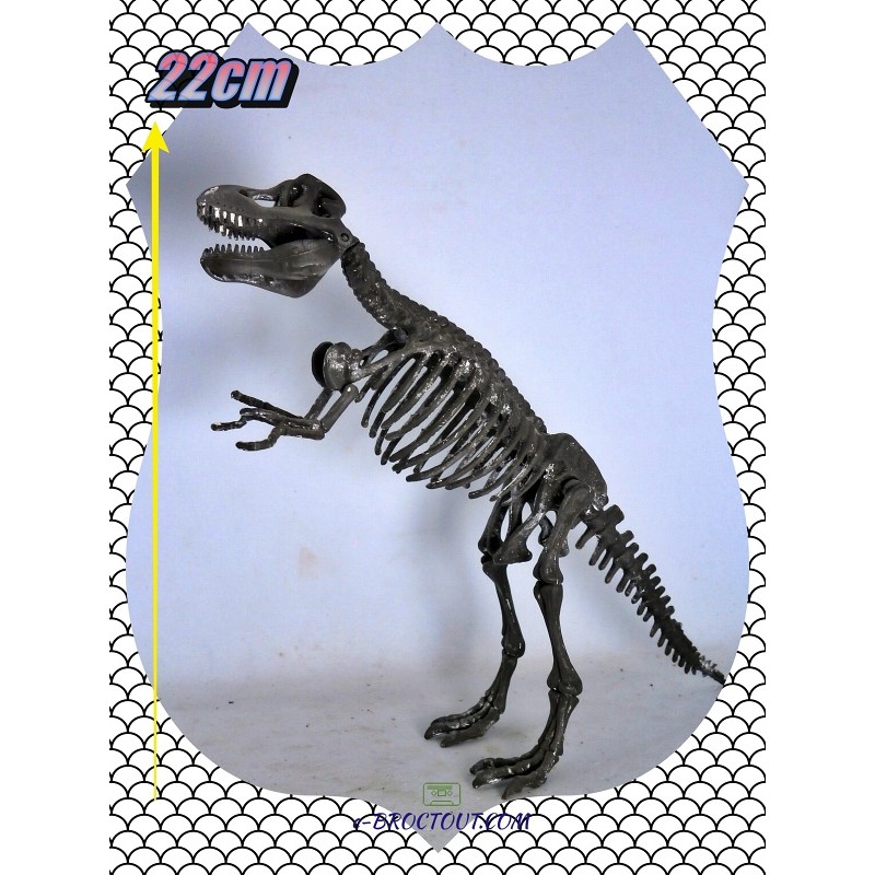 Squelette Dinosaure Tyrannosaure