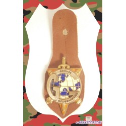 copy of Insigne Militaire -...