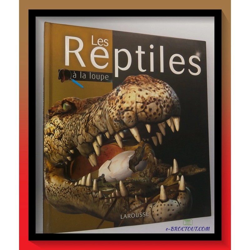 Mark HUTCHINSON : Les reptiles à la loupe