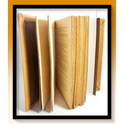 Henri VINCENOT : Walther, ce boche, mon ami