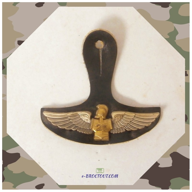 Insigne Militaire - Pucelle 25eme Régiment Du Génie De L'Air (25e Rga) - 1990