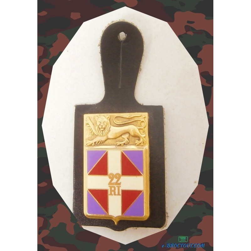 Insigne Militaire - Pucelle 22eme Régiment D'Infanterie (22 R.I.) - 1989