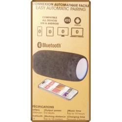 Enceinte portable sans fil Akashi – Bluetooth – 10W – Autonomie 10h – LED multicolores – Noir