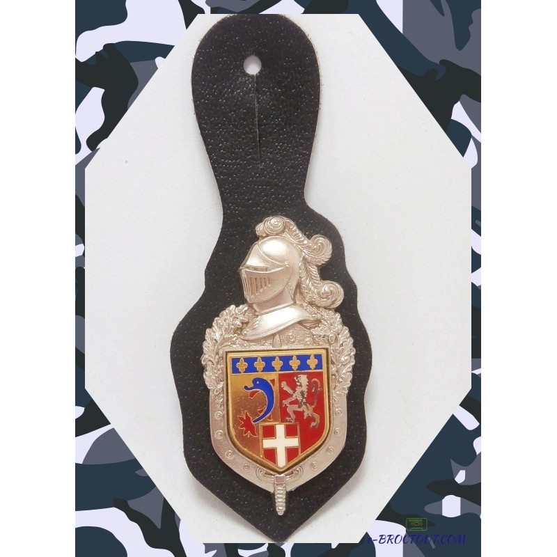 Insigne Militaire - Pucelle Gendarmerie Départementale - Ecusson Rhone Alpes - Vintage 1994