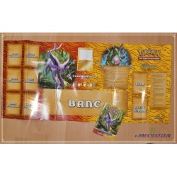 Tapis De Jeu En Papier Pokémon Et Son Livret De Règles / Liste Des Cartes HS Les Indomptables - 2010