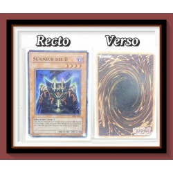 Carte YU-GI-OH : Seigneur des D - Holographique DDK-F038 - 1996