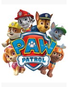 PAW PATROL